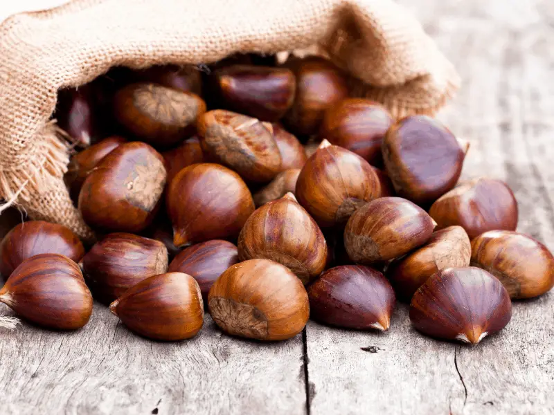What does chestnut taste like