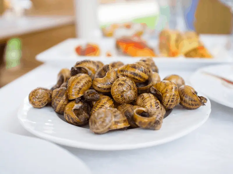 What Do Snails Taste Like?