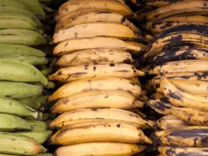 What Does Plantain taste Like?