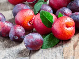 Guess the Flavor: What Does Plum Taste Like?