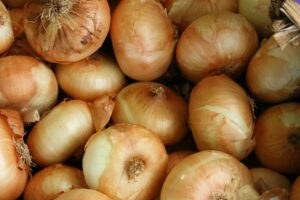 Best Onions for Pizza